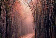 股票买入提高了成本的方法:a股票开户证券公司哪家好-工业母机赛道利好来袭 上半年净利润规模居前的概念股名单出炉